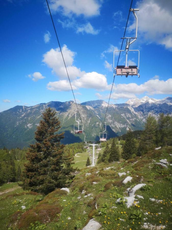 Chalet Resa - Velika Planina Стаховиця Екстер'єр фото